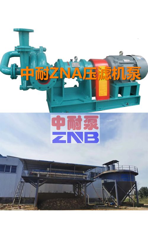 ZNAϵ�Љ��V�C���ϱ�